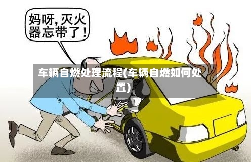 车辆自燃处理流程(车辆自燃如何处置)