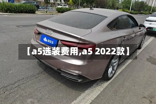 【a5选装费用,a5 2022款】