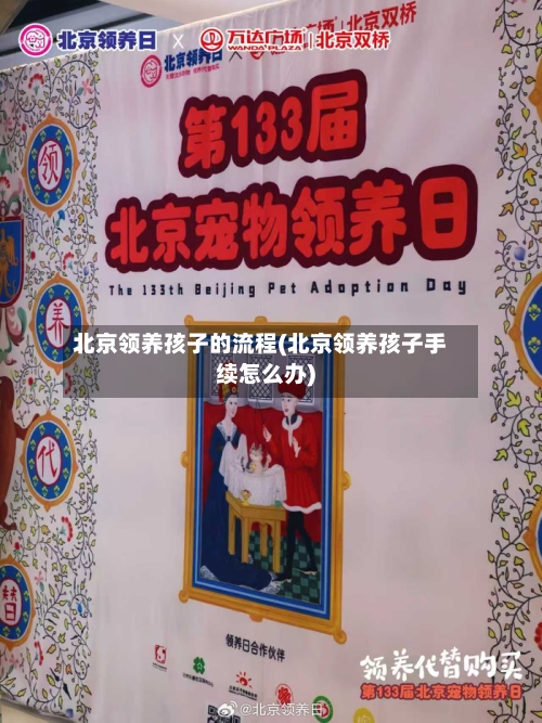 北京领养孩子的流程(北京领养孩子手续怎么办)