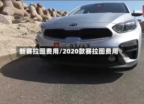 新赛拉图费用/2020款赛拉图费用-第3张图片