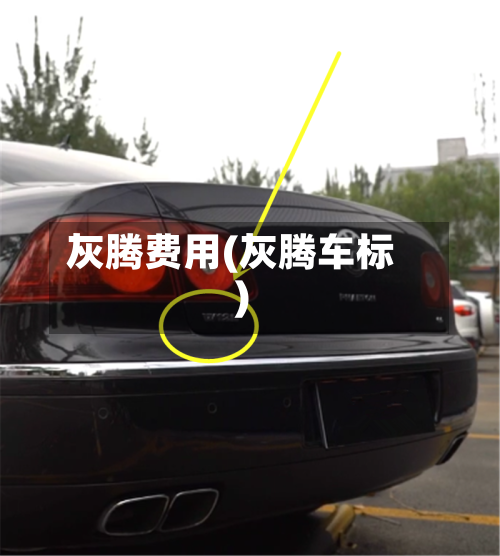 灰腾费用(灰腾车标)-第2张图片