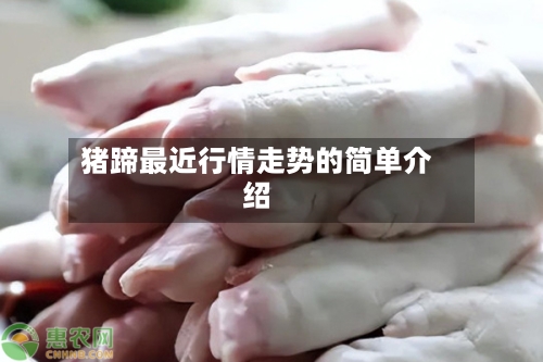 猪蹄最近行情走势的简单介绍