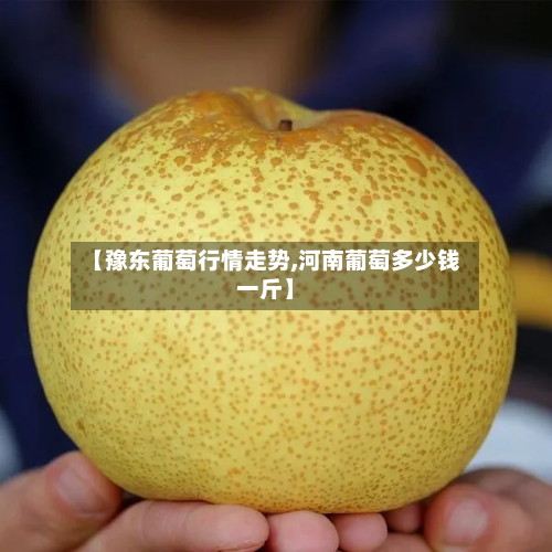 【豫东葡萄行情走势,河南葡萄多少钱一斤】