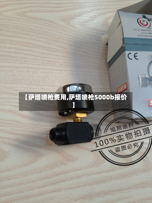 【萨塔喷枪费用,萨塔喷枪5000b报价】