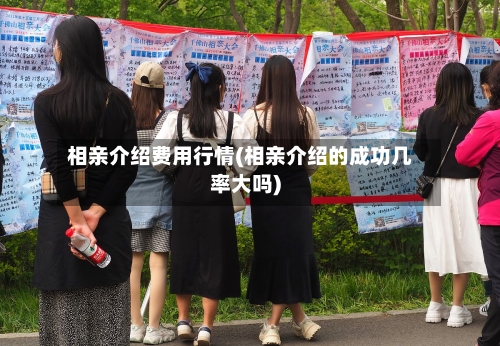 相亲介绍费用行情(相亲介绍的成功几率大吗)-第3张图片