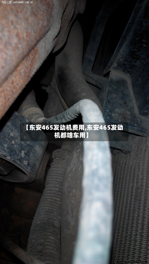 【东安465发动机费用,东安465发动机都啥车用】