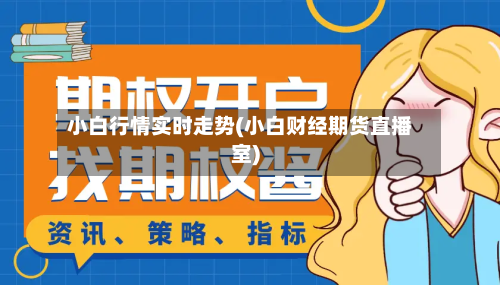 小白行情实时走势(小白财经期货直播室)