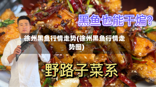 徐州黑鱼行情走势(徐州黑鱼行情走势图)