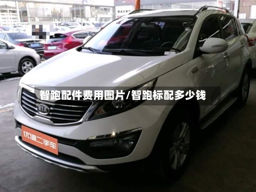 智跑配件费用图片/智跑标配多少钱