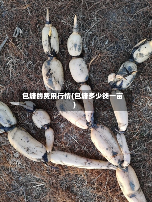 包塘的费用行情(包塘多少钱一亩)-第3张图片