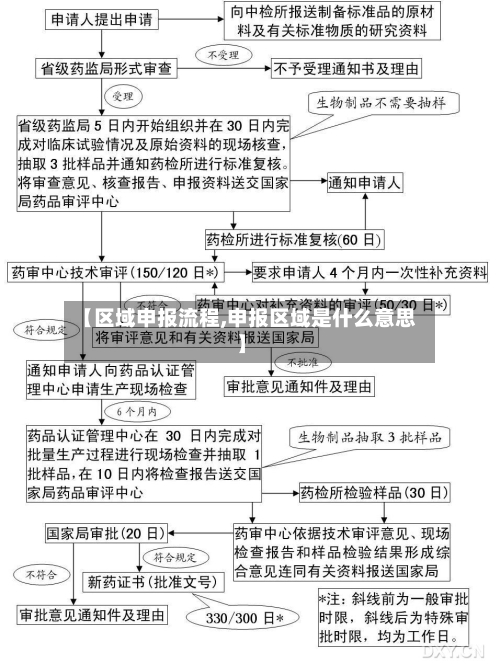 【区域申报流程,申报区域是什么意思】