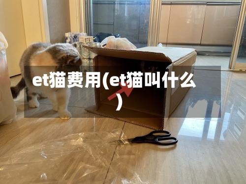 et猫费用(et猫叫什么)