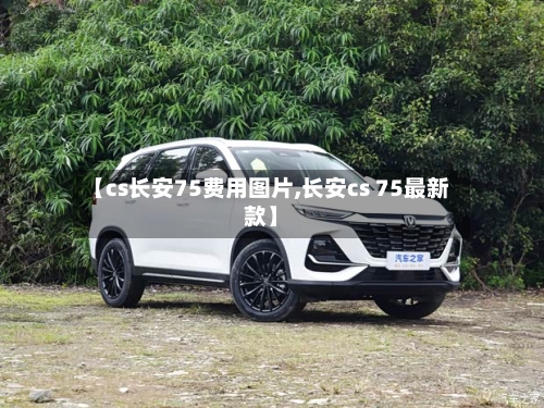 【cs长安75费用图片,长安cs 75最新款】
