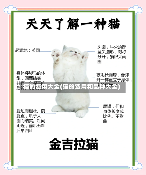 猫的费用大全(猫的费用和品种大全)