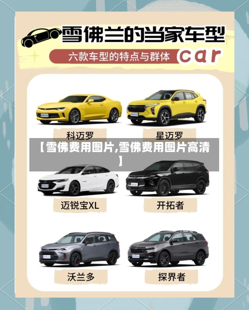 【雪佛费用图片,雪佛费用图片高清】-第3张图片