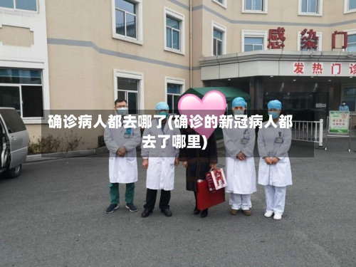 确诊病人都去哪了(确诊的新冠病人都去了哪里)-第2张图片