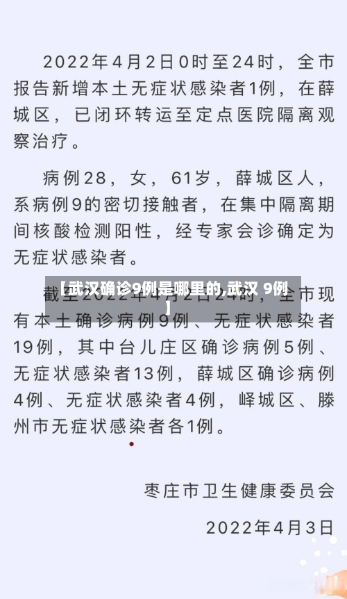 【武汉确诊9例是哪里的,武汉 9例】-第2张图片