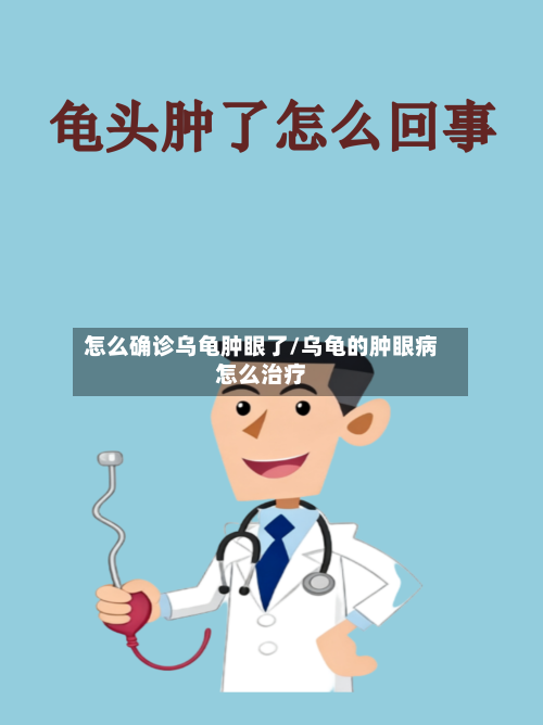 怎么确诊乌龟肿眼了/乌龟的肿眼病怎么治疗-第2张图片