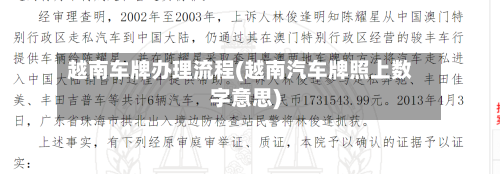 越南车牌办理流程(越南汽车牌照上数字意思)