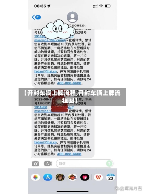 【开封车辆上牌流程,开封车辆上牌流程图】-第2张图片
