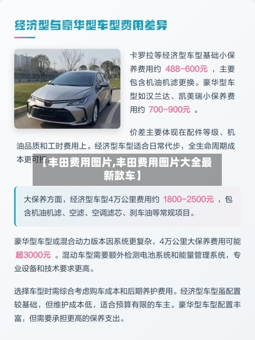 【丰田费用图片,丰田费用图片大全最新款车】-第3张图片