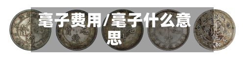 毫子费用/毫子什么意思-第3张图片