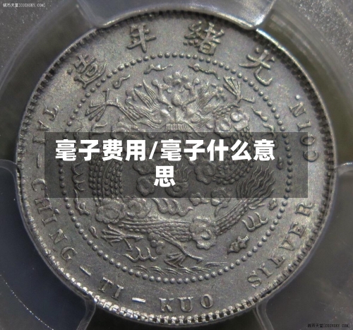 毫子费用/毫子什么意思