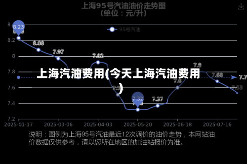 上海汽油费用(今天上海汽油费用)