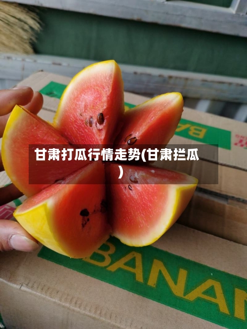 甘肃打瓜行情走势(甘肃拦瓜)-第3张图片