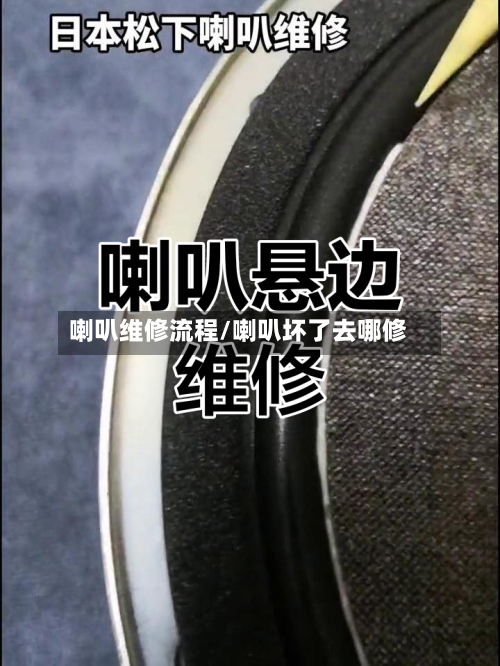 喇叭维修流程/喇叭坏了去哪修-第3张图片