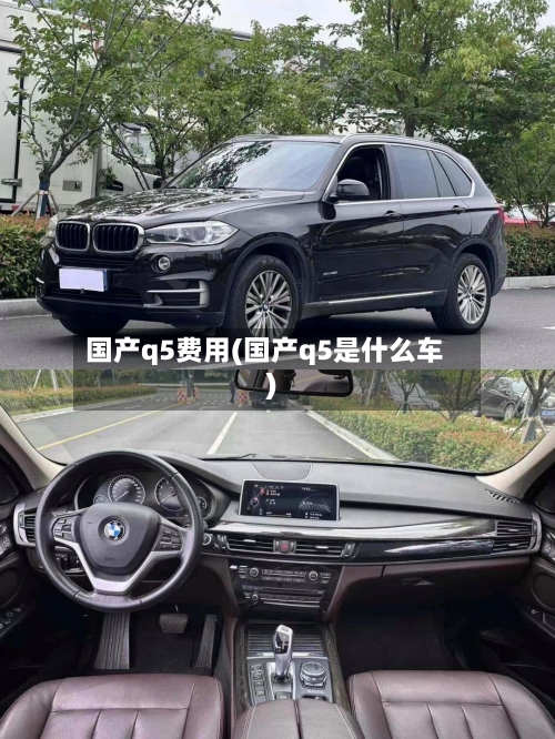 国产q5费用(国产q5是什么车)-第3张图片