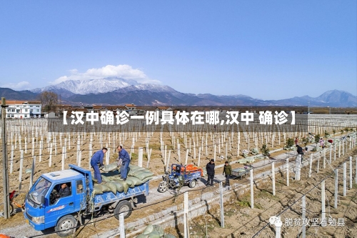 【汉中确诊一例具体在哪,汉中 确诊】