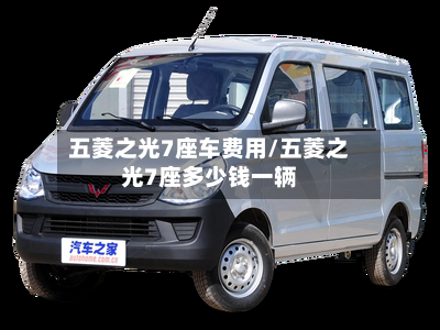 五菱之光7座车费用/五菱之光7座多少钱一辆-第2张图片