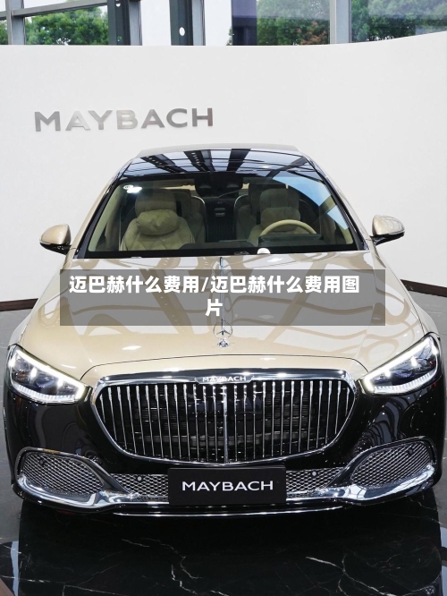 迈巴赫什么费用/迈巴赫什么费用图片-第3张图片